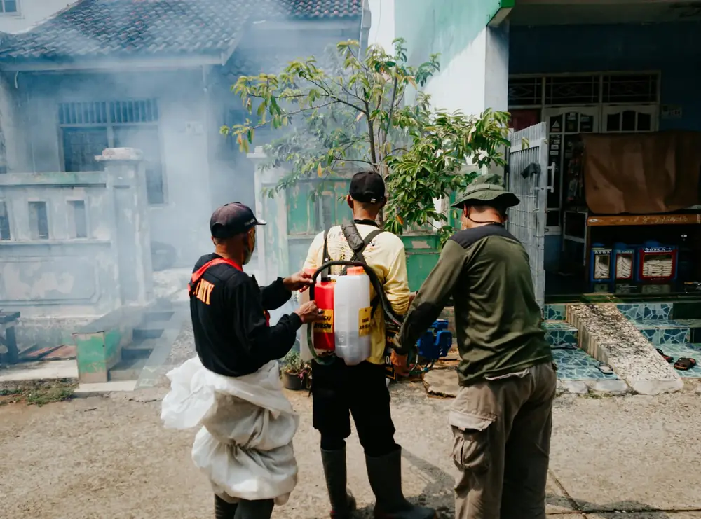 Professional Pest Team
